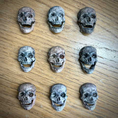 Handmade Skull Magnets by Max Busa