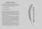 Preorder [November 2026] THE ELDER FUTHARK: THE OLDEST RUNES book (expanded edition)