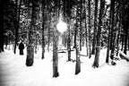 Preorder [Autumn 2026] DUNGEON SYNTH: PHOTOGRAPHY BY PETER BESTE (large colour hardback photo book)