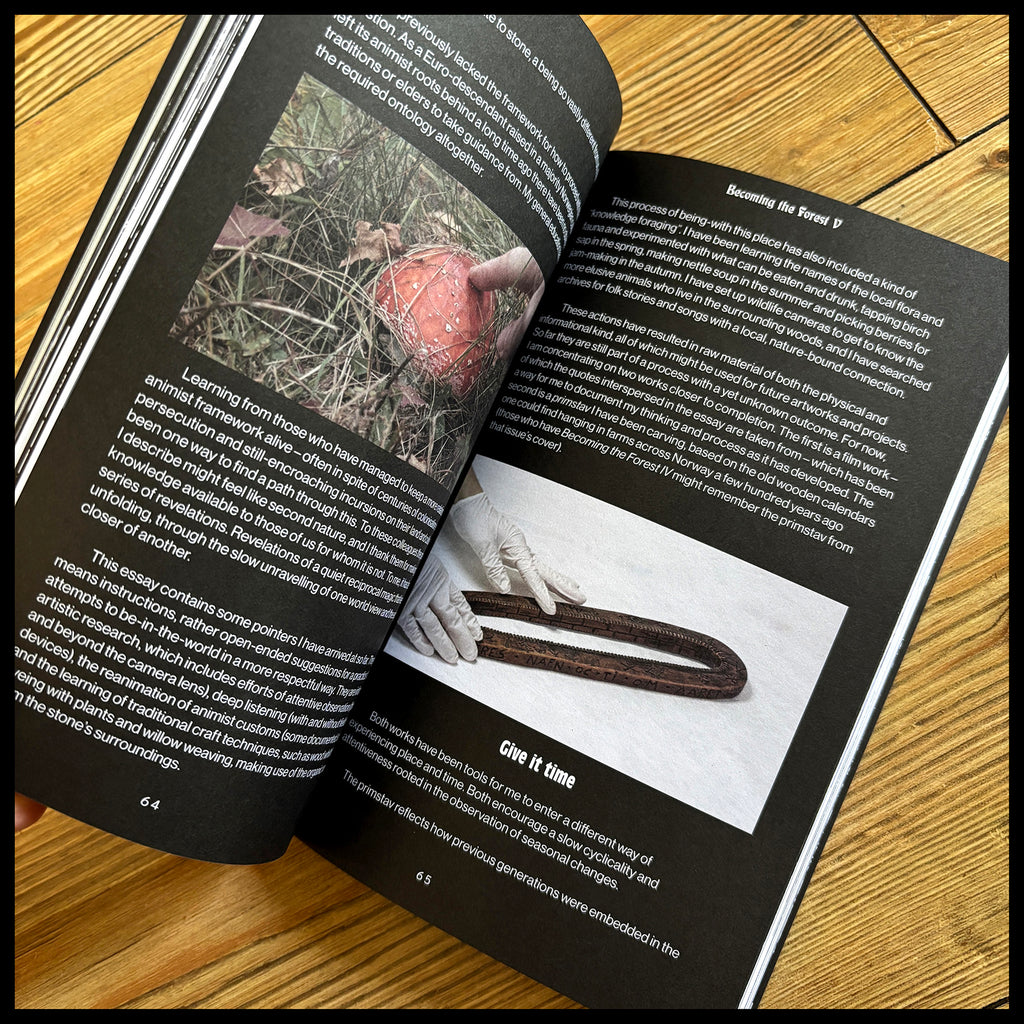 BECOMING THE FOREST 5 book (black metal / nature / culture)