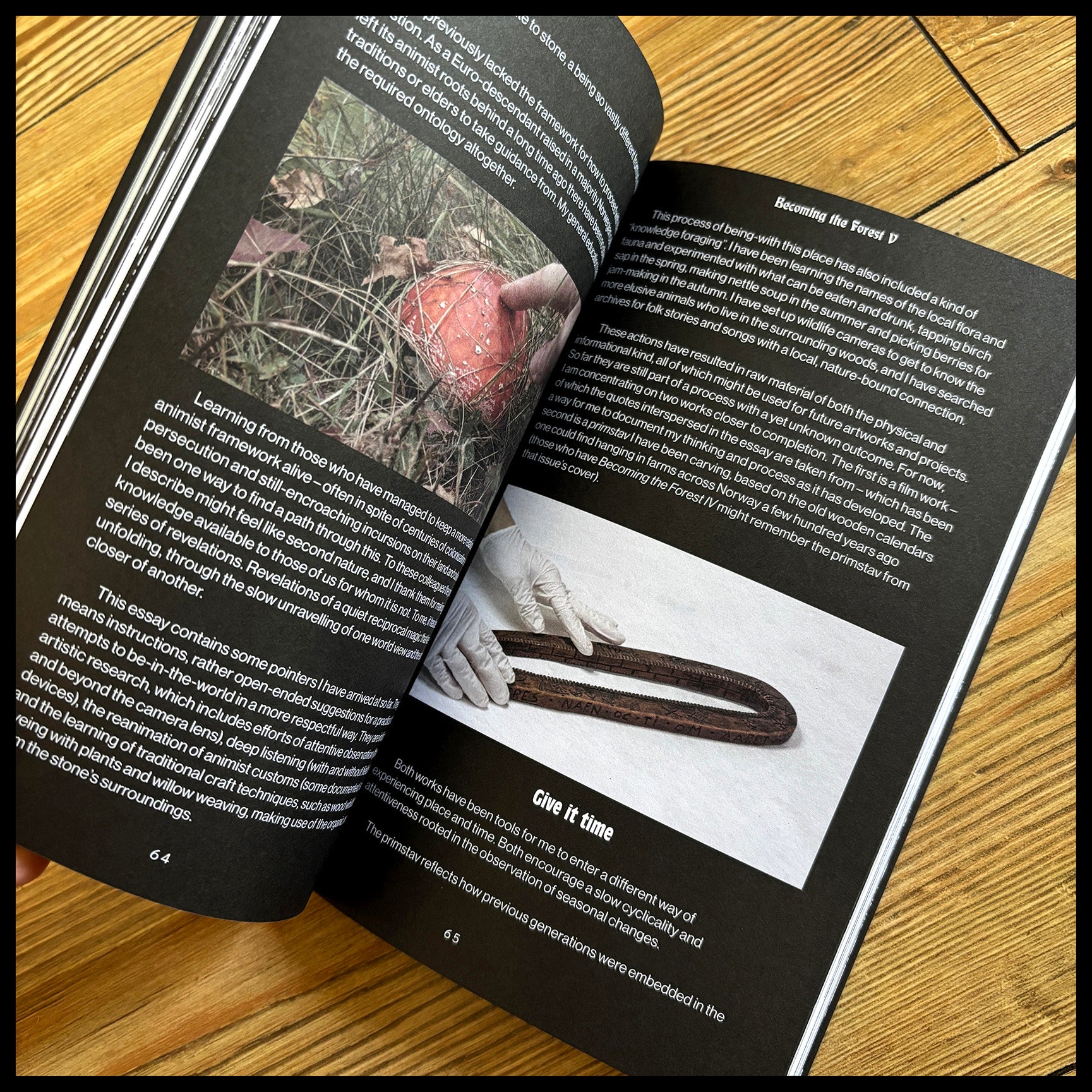 BECOMING THE FOREST 5 book (black metal / nature / culture)