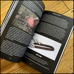 BECOMING THE FOREST 5 book