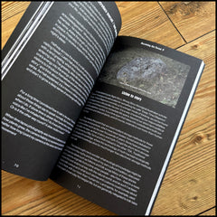 BECOMING THE FOREST 5 book