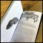 BECOMING THE FOREST 5 book (black metal / nature / culture)