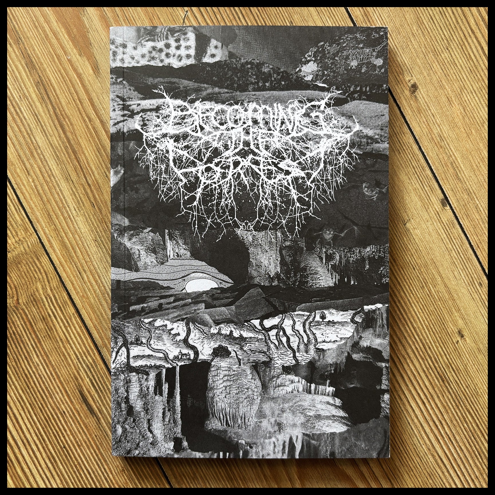 BECOMING THE FOREST 5 book (black metal / nature / culture)