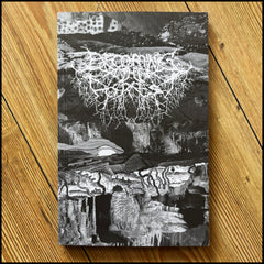 BECOMING THE FOREST 5 book