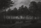 DARK FOREST LONGING: TALES OF FOLK HORROR & NATURE MYSTICISM book