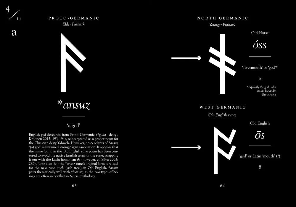 THE YOUNGER FUTHARK: VIKING AGE RUNES book