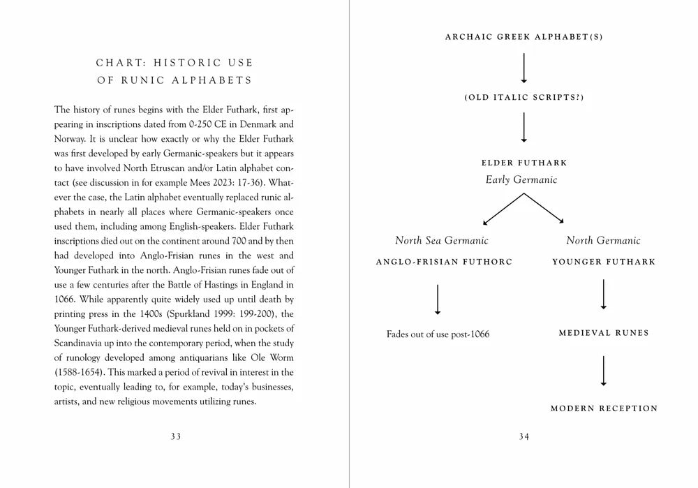 THE YOUNGER FUTHARK: VIKING AGE RUNES book