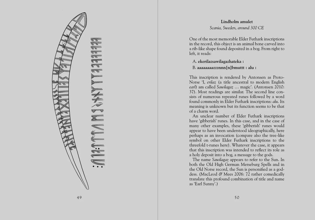 THE YOUNGER FUTHARK: VIKING AGE RUNES book