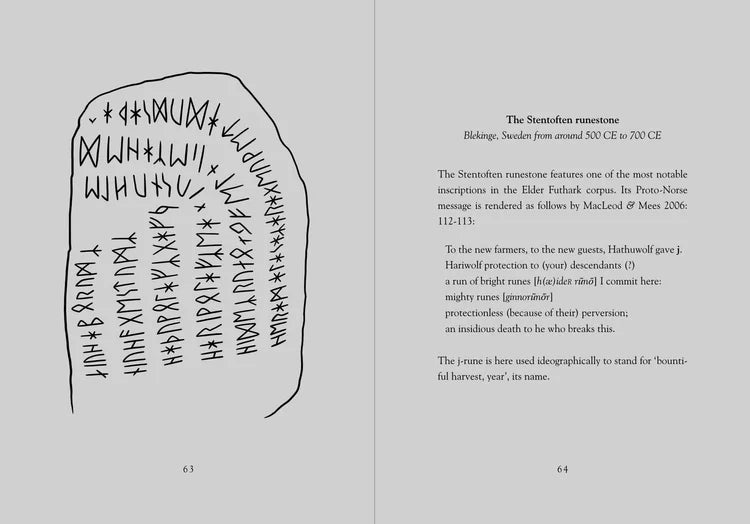 THE YOUNGER FUTHARK: VIKING AGE RUNES book