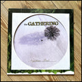 THE GATHERING: NIGHTTIME BIRDS limited picture disc (picture vinyl in cut out sleeve with insert) *new*