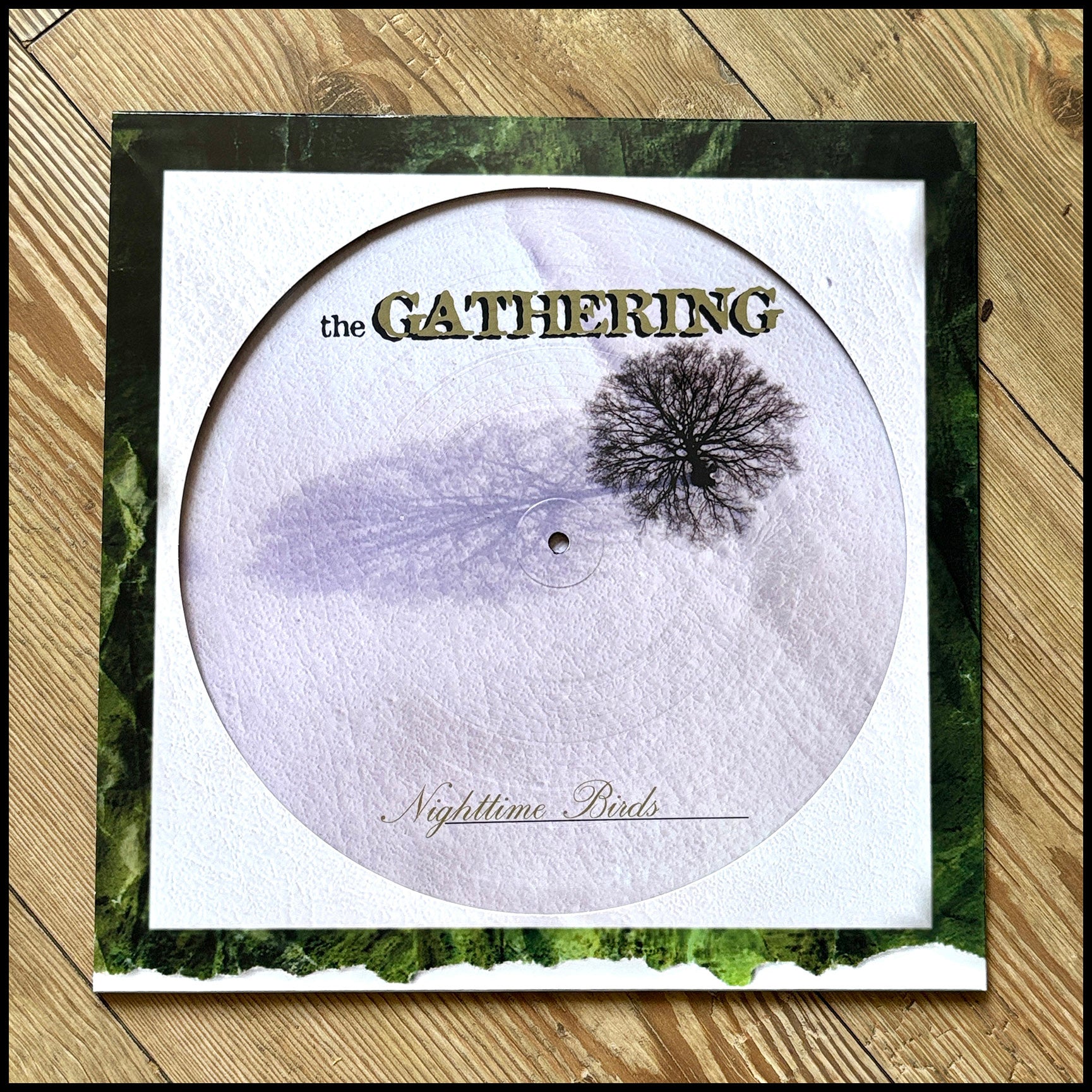 THE GATHERING: NIGHTTIME BIRDS limited picture disc (picture vinyl in cut out sleeve with insert) *new*
