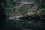 Preorder [Autumn 2026] DUNGEON SYNTH: PHOTOGRAPHY BY PETER BESTE (large colour hardback photo book)