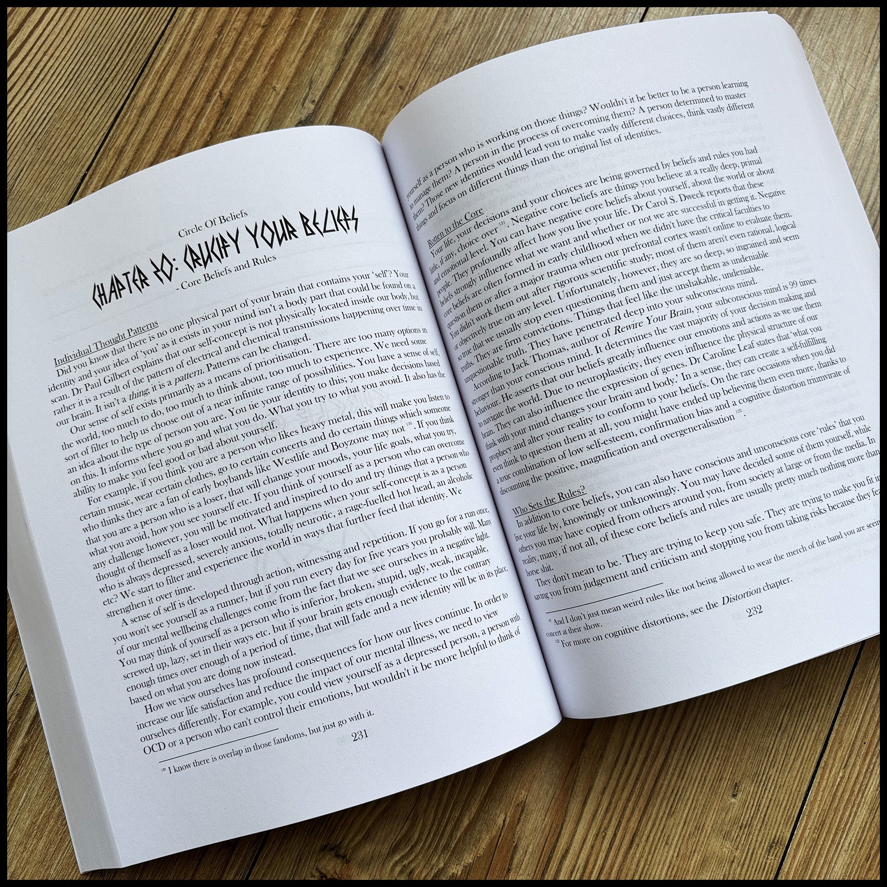Preorder [late June] MENTAL HEALTH FOR METALHEADS book (large and unusual paperback featuring Ed Repka cover art)