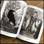 MOVING SALE: OWLS, TROLLS & DEAD KING'S SKULLS: THE ART OF DAVID THIÉRRÉE book (ex-display/imperfect copies)