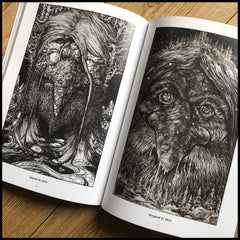 MOVING SALE: OWLS, TROLLS & DEAD KING'S SKULLS: THE ART OF DAVID THIÉRRÉE book (ex-display/imperfect copies)