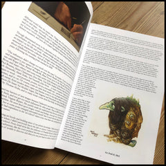 MOVING SALE: OWLS, TROLLS & DEAD KING'S SKULLS: THE ART OF DAVID THIÉRRÉE book (ex-display/imperfect copies)