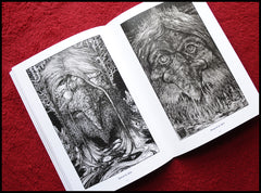 MOVING SALE: OWLS, TROLLS & DEAD KING'S SKULLS: THE ART OF DAVID THIÉRRÉE book (ex-display/imperfect copies)